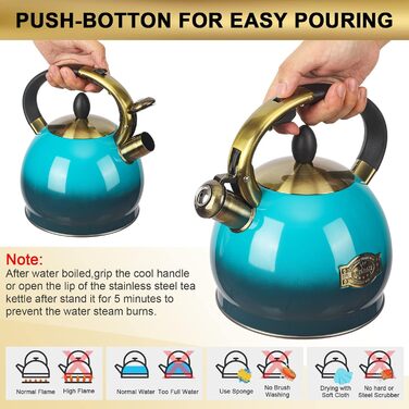 Чайник для заварювання чаю, класичний чайник з нержавіючої сталі, 3 л, блакитний