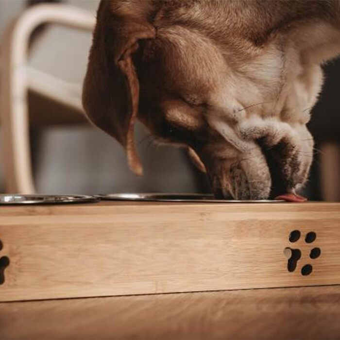 Станція для годування домашніх тварин LAUBLUST: підставка для мисок з бамбука, 2 нержавіючі миски | для собак та котів, розмір 31 x 15 x 6 см | M