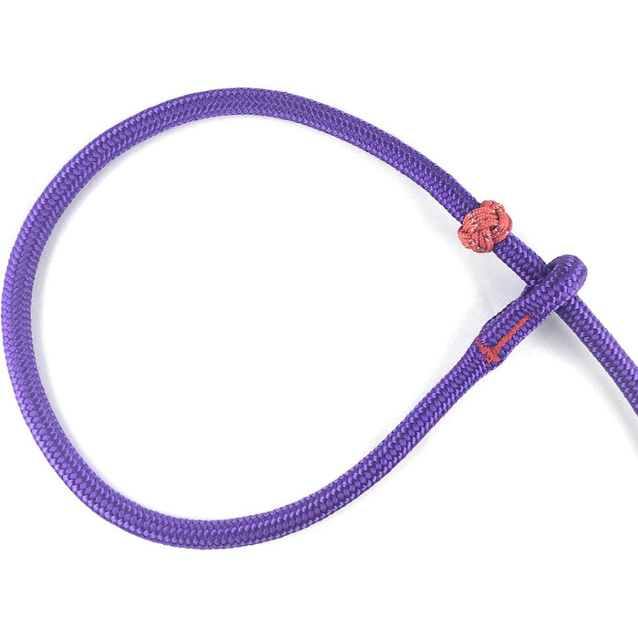 PatchArt-Leine (Green) - Leash and collar in ONE (Purple)