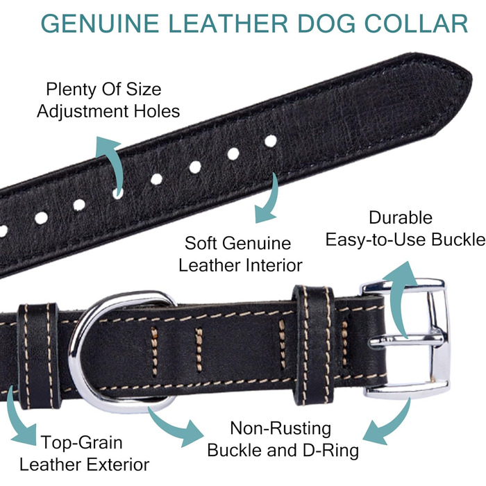 Нашийник для собак з м'якої шкіри, міцний та довговічний. Підходить для собак маленьких, середніх та великих порід. Матеріал: шкіра. Розміри: S (28-36 см), M (33-42 см). Колір: чорний