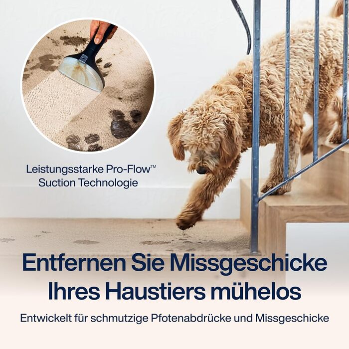 Samako Теперішній очищувач килимів та м'яких меблів – компактний ручний пристрій, потужний 400W двигун, 2 великі резервуари для води, підходить для всіх типів тканини (потужна версія (2000 Вт))