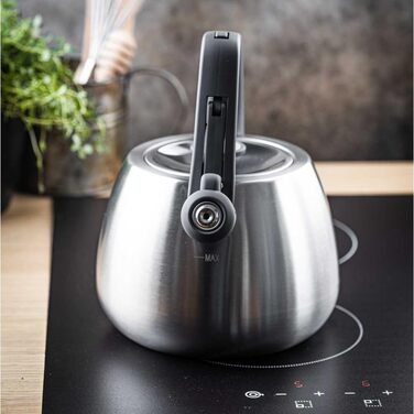 Чайник сталевий 2.5L Induktion (сріблястий)