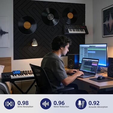 Самоклеючі акустичні панелі Vieshful для шумоізоляції стін та стелі, 10 шт, 30x30x1 см, чорні — звукопоглинаючі плити для студії, офісу та спальні