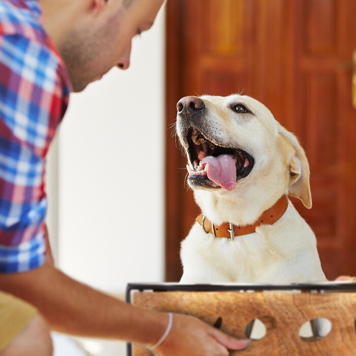 Relaxdays Pet Feeder Station 'Woof' for Dogs