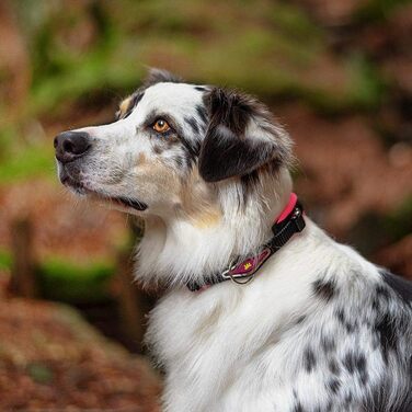 Нашийник для собак Ferplast ERGOFLUO C15/42 з підкладкою та мікрорегулюванням, рожевий