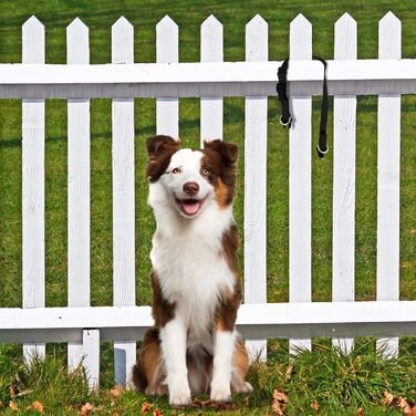 PetSafe KeepSafe міцне нашийник для собак (червоний, Small, ширина 1.9 см)