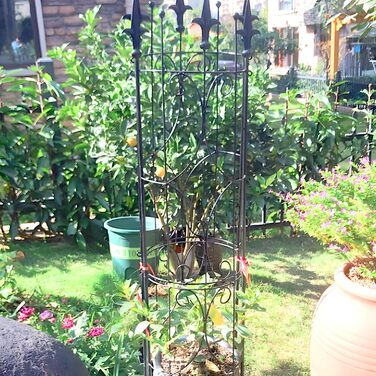 Thealyn Rankgitter Garten 2 Pack 182cm H x 31cm W Metal Plant Trellis Indoor/Outdoor Metal Garden Trellis Plant Grid for Potted Plants Climbing Plants (Black)