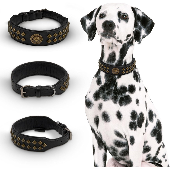 Нашийник для собак MICHUR Diego з натуральної шкіри, з декоративним левовим головою та заклепками, розмір 61-68,5 см