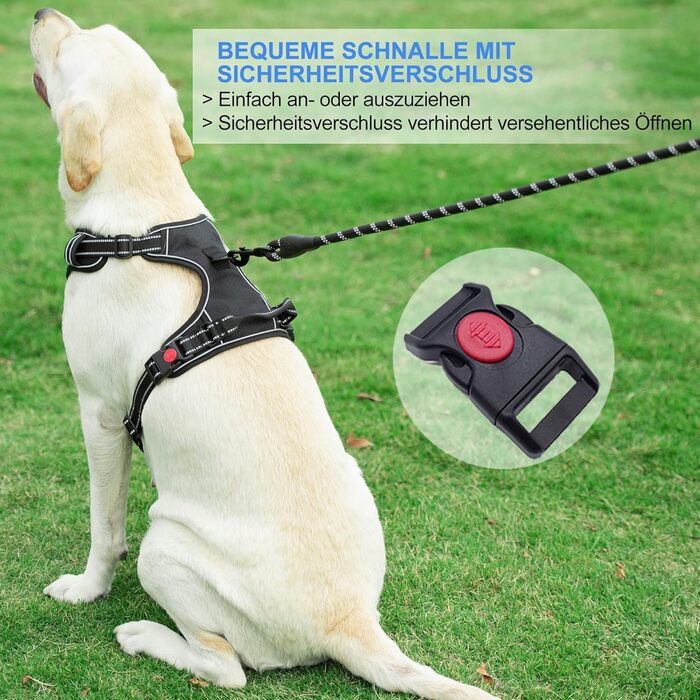 Нашийник для собак Haapaw без натягу, регульований, світловідбиваючий, Оксфорд, зручне керування, середній розмір, міцна собача лінія, синій (1 шт.)