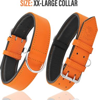 Надійний поводок для собак Riparo XXL, 3.8 см, оранжевий