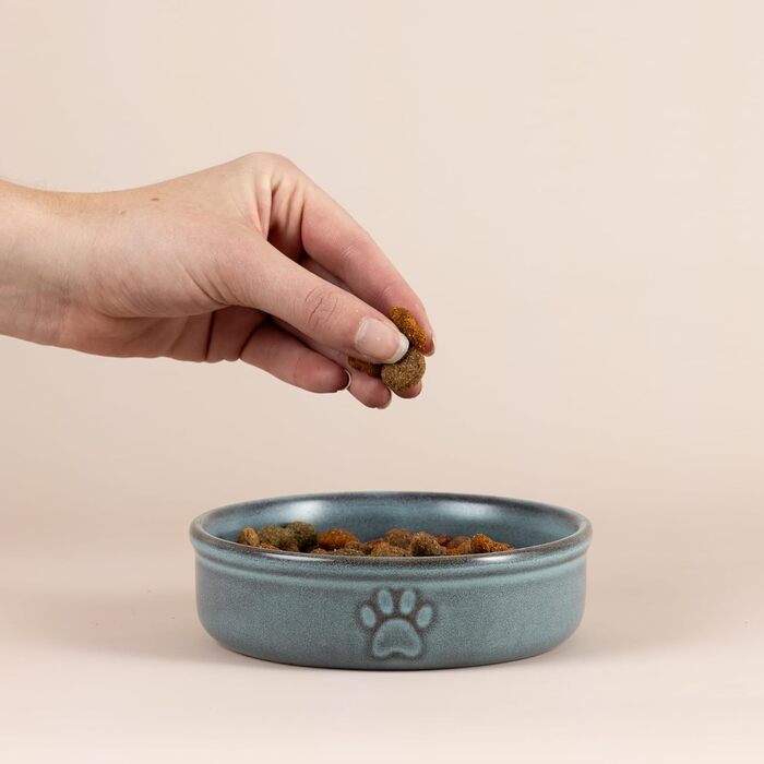 Миска для собак Mason Cash Reactive Paw, 18 см, 950 мл, для великих собак, кераміка, для миття в посудомийній машині та заморожування