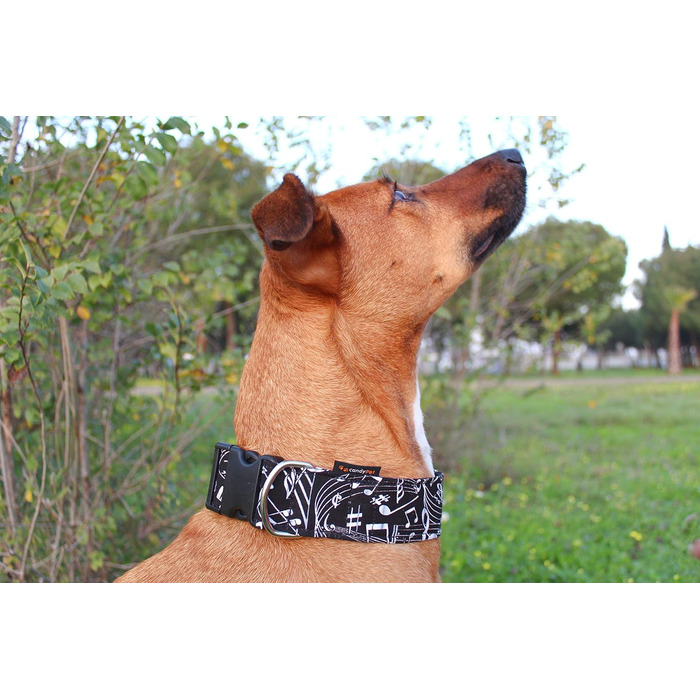 Обіймка для собак candyPet® Click з музикою, ширина 4 см, розмір шиї 30-55 см