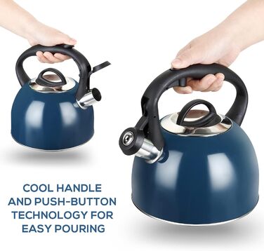 Чайник-свисток 2,5 л з нержавіючої сталі для індукції, газу, з емальованим покриттям (блакитний)