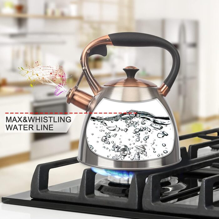 Чайник для плити Teekessel з нержавіючої сталі, 2,9 л