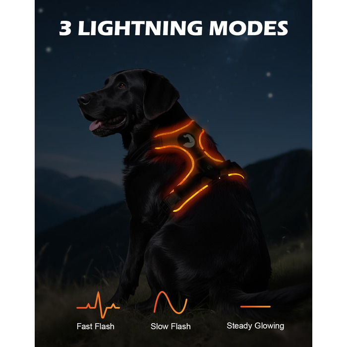 Світловідбиваючий нашийник для собак Joytale з підзарядкою, без натягування, з ручкою, для нічних прогулянок, чорно-синій, M (XL, 1 шт.), помаранчевий