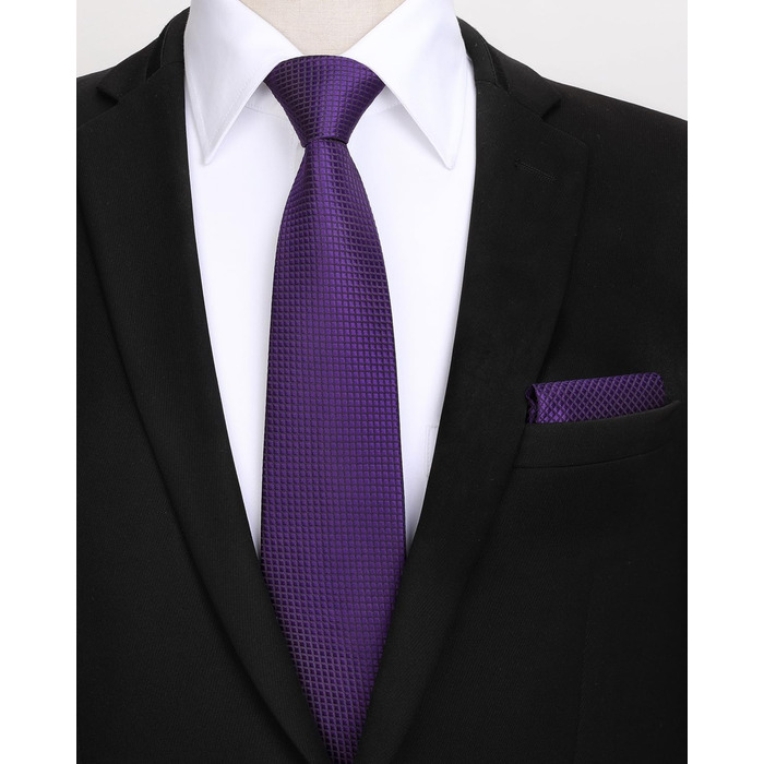 HISDERN Комплект краватки та нагрудного хустинки для чоловіків, в клітинку, елегантний, класичний (фіолетовий)