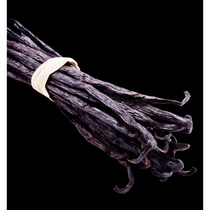 Жіночі парфуми Yodeyma Mia, 100 мл