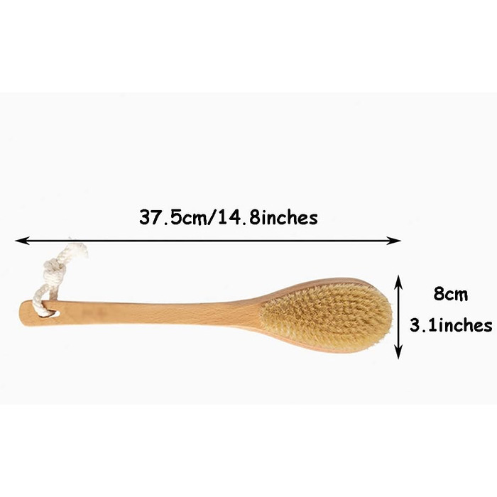 Transparent Particle-Matte Finish Anti-Slip Grip Body Brush, Bath Brush Wet and Dry Back Brush, Natural Bristle Hair Beechwood Material (14.8 * 3.1 inches * 2) (14.8 * 3.1 inches * 1)
