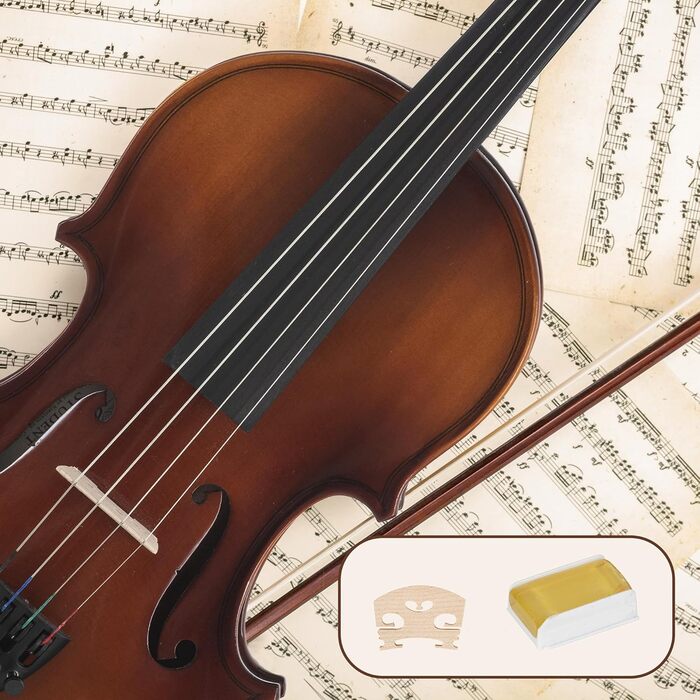 Скрябін Скрипка для початківців Cantabile Student 1/8 (комплект з футляром, смичком та коліфонію)