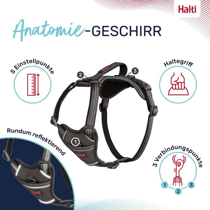 HATI Anatomy Dog Harness with Handle – Freedom of Movement for Your Dog. 3 Connection Points, Neoprene Padding, Adjustable and Reflective (Size Construction Green) (Gray, XL)