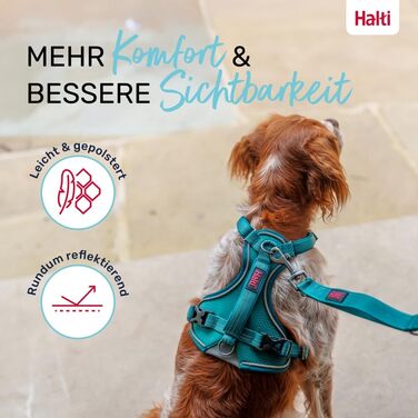 HALTI Anatomy Dog Harness with Handle – Freedom of Movement for Your Dog. 3 Leash Attachment Points, Neoprene Padding, Adjustable and Reflective (Size L, Blue-Green)