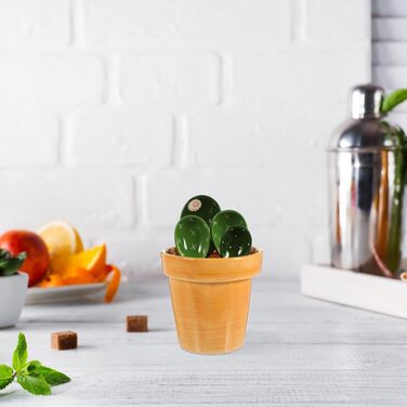 1 Cactus Spoon Measuring Spoons Flour Milk Coffee Salt Kitchen Measuring Cactus Figure Measuring Food-Grade Measuring Spoons Measuring Cup And Tl Ceramic Kitchen Utensils Coffee Beans