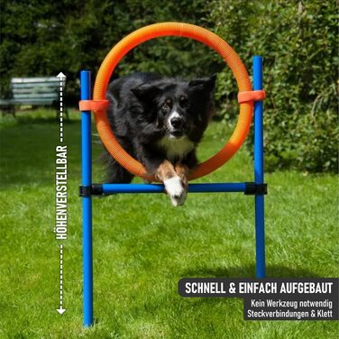Набір для аджиліті NATIV LEMODO для собак | Тренування собак з бар'єрами та стрибковим кільцем | Легкий у транспортуванні аксесуар для аджиліті | Початковий набір у собачий спорт (з тунелем)