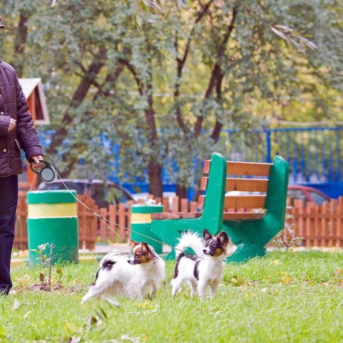 KOOLTAIL Подвійна висувна собача шлейка - міцна, двоколірна 5 м висувна шлейка для собак маленьких, середніх та великих порід, для прогулянок, 2 собаки до 50 кг, сіра