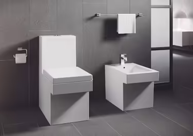 Essentials Cube | WC Brush Holder | chrome | 40513001 & Essentials | Toilet Paper Holder | 40507001