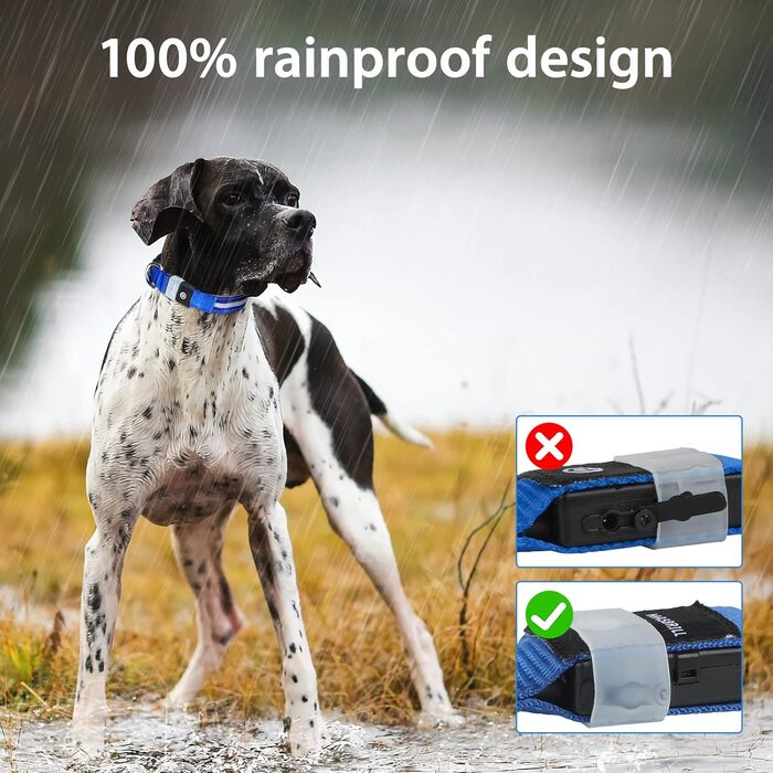 Світловідбиваючий нашийник для собак MASBRILL з LED-підсвічуванням, водонепроникний, 3 режими освітлення, синій