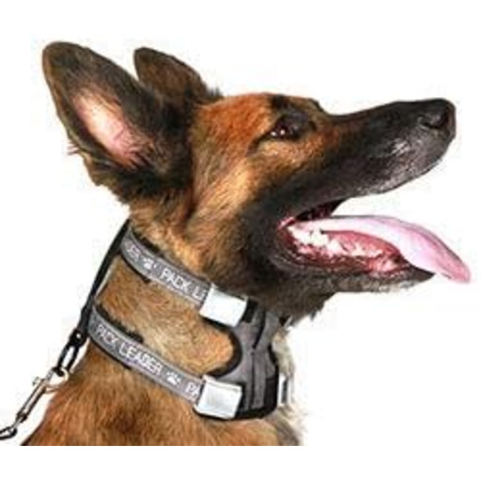 Cesar Millan Pack Leader Collar™ - The Dog Whisperer's Training Collar (Medium, Blue)