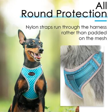 Шлейка для собак ThinkPet No-Pull, дихаюча, для малих, середніх та великих собак, регульована, м'яка, для прогулянок, безпечна, з контролем, з підкладкою, світловідбиваюча (Блакитна, L, 1 шт.)