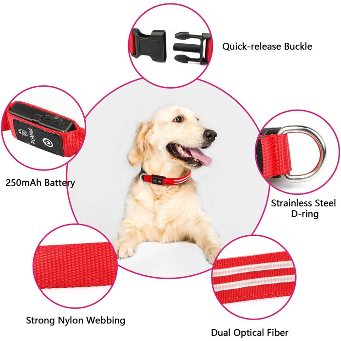 Світлодіодна нашийникова стрічка для собак PCoTllar, заряджається, 3 режими світіння, водонепроникна, для малих, середніх та великих собак, зелена, (TC5000), розмір S (28-40 см)