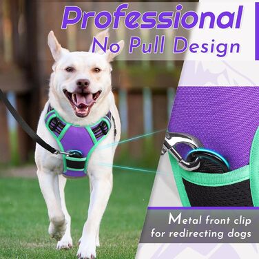 Шлейка для собак Eagloo, великі породи, анти-тяга, світловідбиваючі смуги, регульована, для Лабрадора, L (1 шт, м'ятно-зелений & фіолетовий)