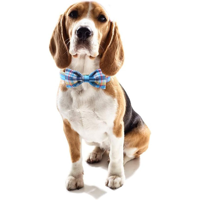 Нашийник для собак та котів з бантиком Unique Style Paws, міцний, регульований, для дівчаток та хлопчиків, блакитне плетіння