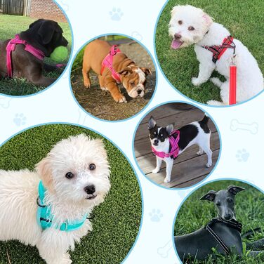 Шлейка для собак SlowTon з повідком, анти-тягнуча, регульована, світловідбиваюча, для цуценят, малих та середніх собак, безпечна, запобігає задушливості, зелена