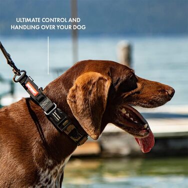 Нашийник для собак EzyDog Checkmate – нашийник-стоп для дресирування. Регульований нашийник для великих, середніх та маленьких собак (S, Чорний)