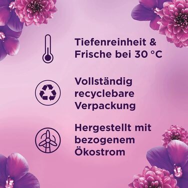 Пральний порошок Lenor Amethyst Blütentraum для пральних машин, 6.5 кг, 100 прань