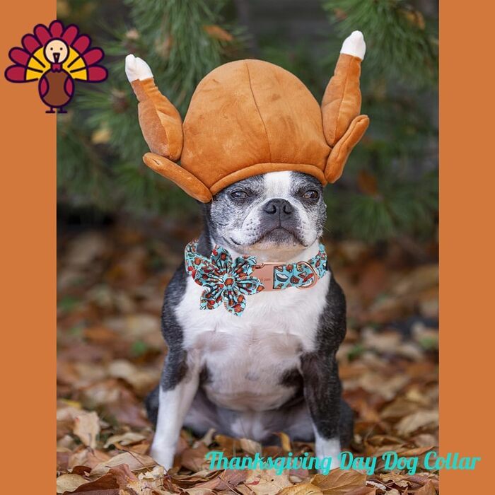 Елегантний собачий ошийник з метеликом Unique Style Paws, бавовна, для святкування, з металевою застібкою, розмір 34-56 см (M, F:TurkeyParty)
