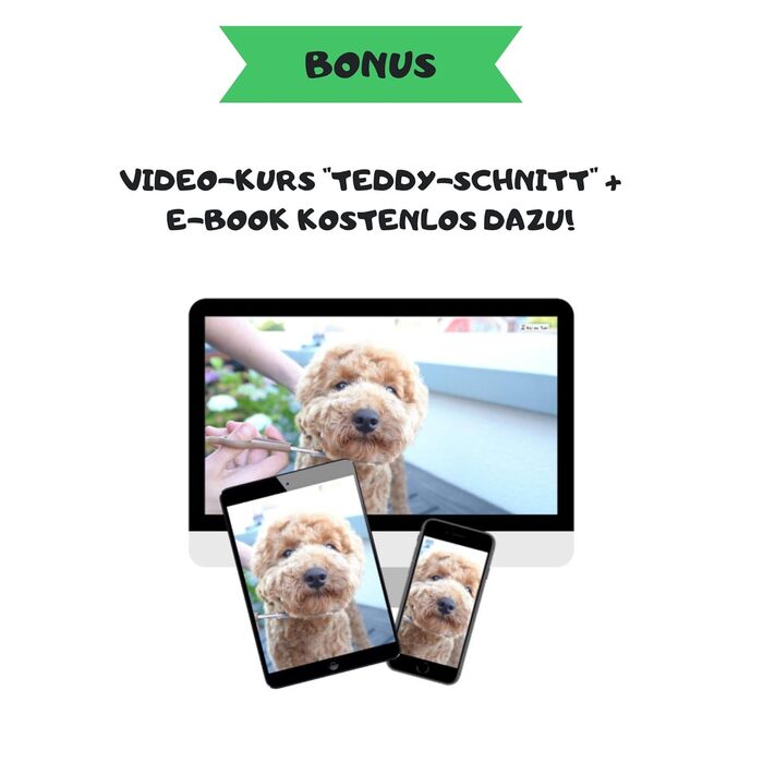 М'яка щітка для собак Moki Bär: ідеальна для чутливої шкіри та не линяючих порід, розмір S