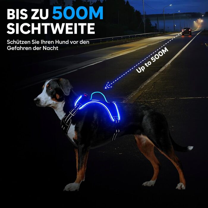 Нашийник для собак з екошкіри, перероблений, для великих і середніх собак, зелений (M, блакитний)