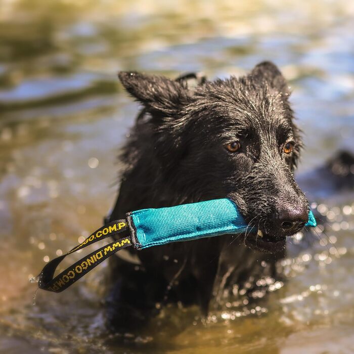 Dingo Dog Toy Bite Sausage Agility Cotton with Handle Handcrafted for Bite Training Fetching Floating, Swim-Friendly, Multicolor, 4 Pieces: 15 cm x 6 cm Z30001