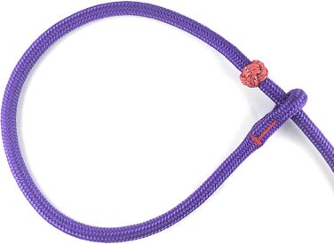PatchArt-Leine (Green) - Leash and collar in ONE (Purple)