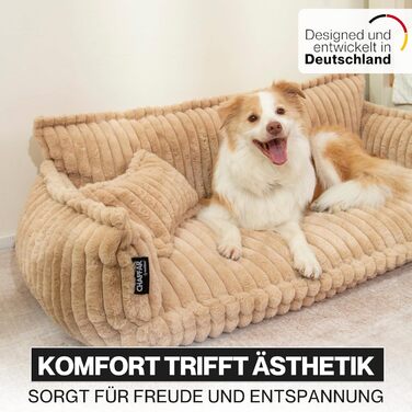 Крісло-лежанка для домашніх тварин Noviclass® Chaffar: лежанка для котів та собак | Ортопедичний матрац | Сучасний стиль, Cord-Design | Розміри: Камелеон, XXL (140см)