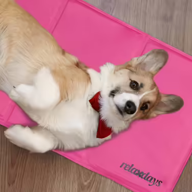 Relaxdays Cooling Mat for Dogs