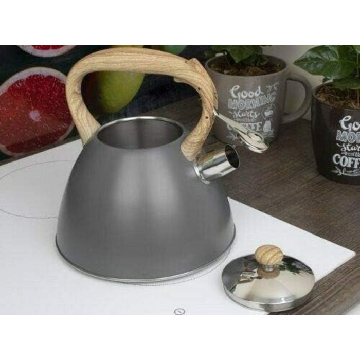 Свисток-чайник з нержавіючої сталі, 3 л, для індукційних, газових та електричних плит (Сірий)