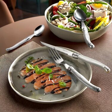 Набір столових приборів для стейка Lou Laguiole TRADITION (48 предметів) з нержавіючої сталі з кольоровими пластиковими ручками, на 12 осіб