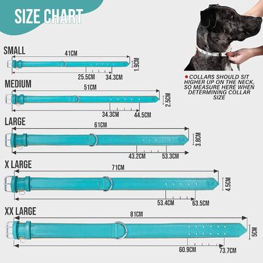 Riparo Genuine Leather Adjustable Dog Collar with Additional Reinforcement (: 4.5CM Wide for 53.4CM - 63.5CM Neck, ) (L, Aqua)
