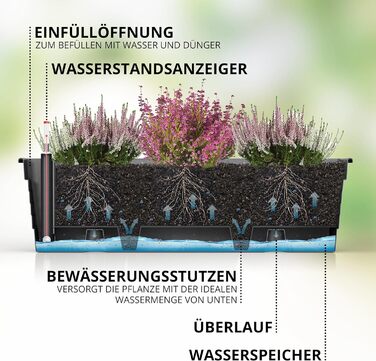 Plastard Milano Flower Box Set of 3, 60 cm long, Anthracite color with water reservoir and water level indicator. Planting box for garden and balcony, weather-resistant for indoor and outdoor use.