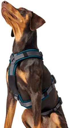 Нашийник для собак Maldon, колір petrol/сірий, розмір L